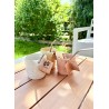 Mugs à Paille Rose