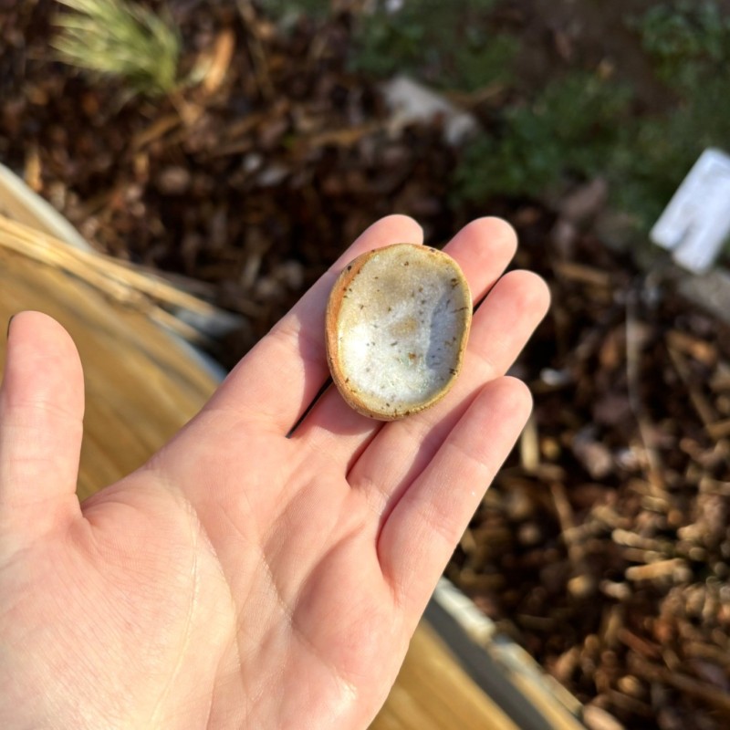 Worry Stone Vert tâcheté