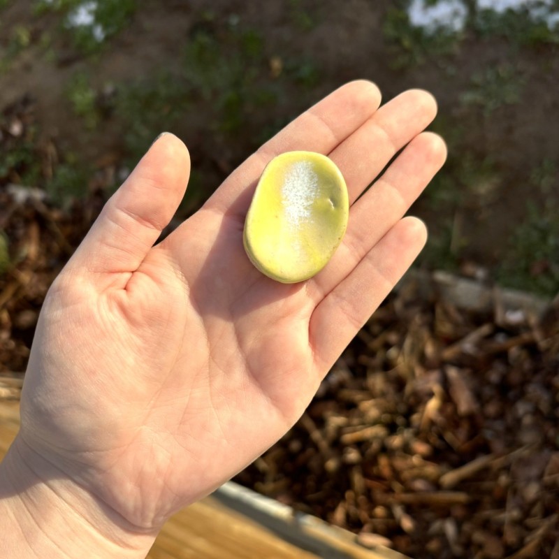 Worry Stone Eclat de Jaune